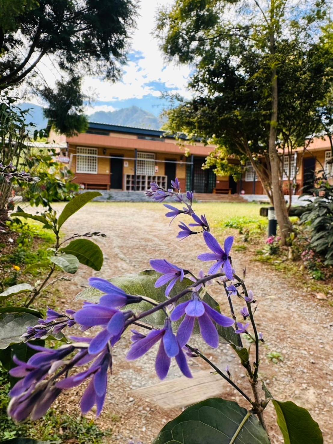 Go Bill B&B Hszinji Kültér fotó